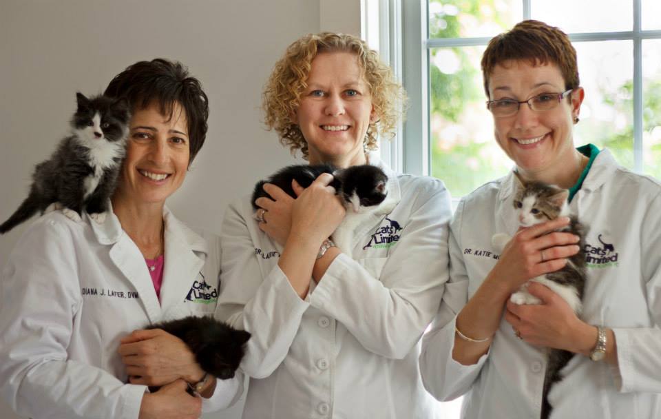 Cats Limited Veterinary Hospital team