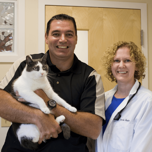 Veterinarian and a person holding a cat