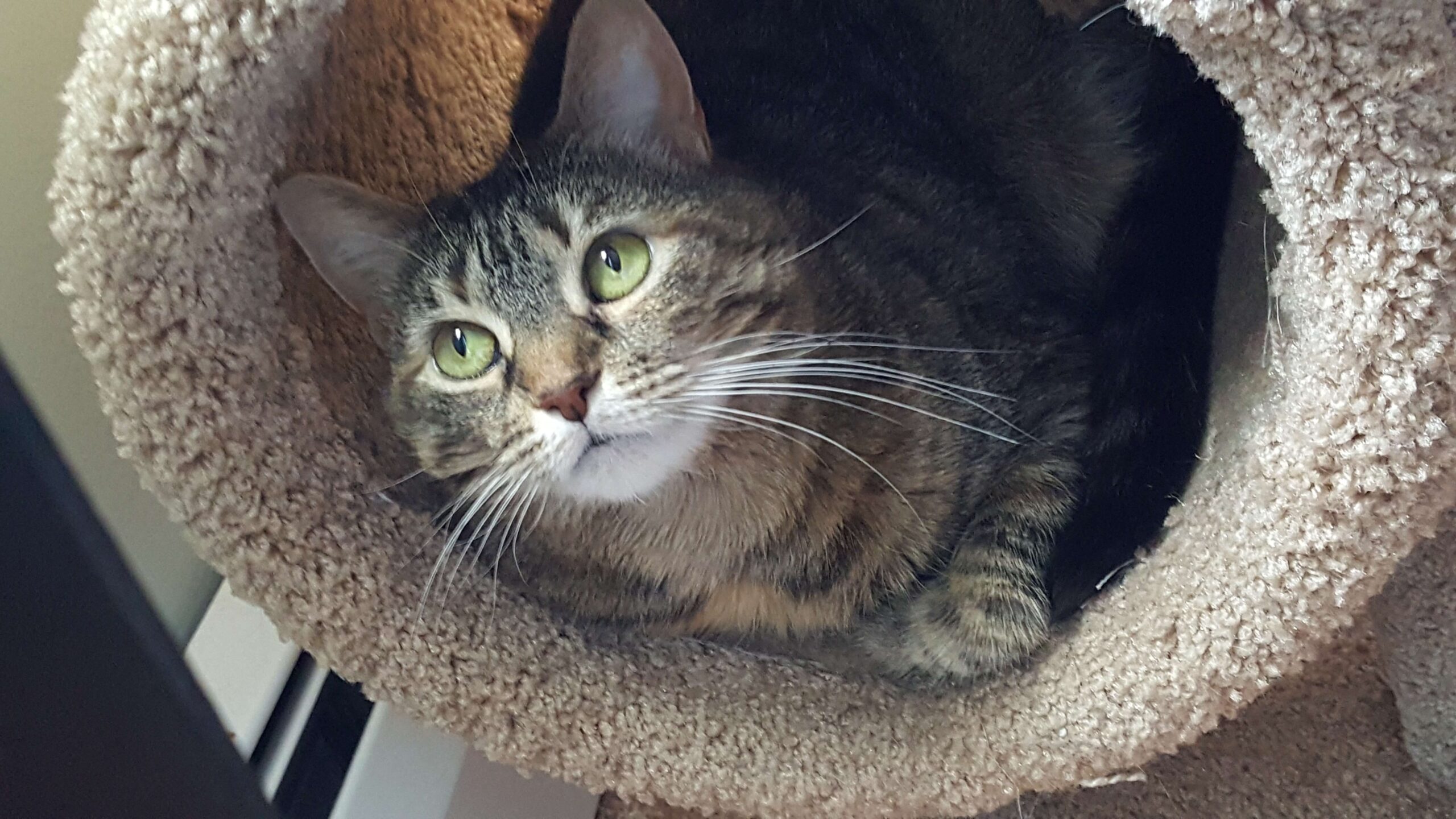 Kiki